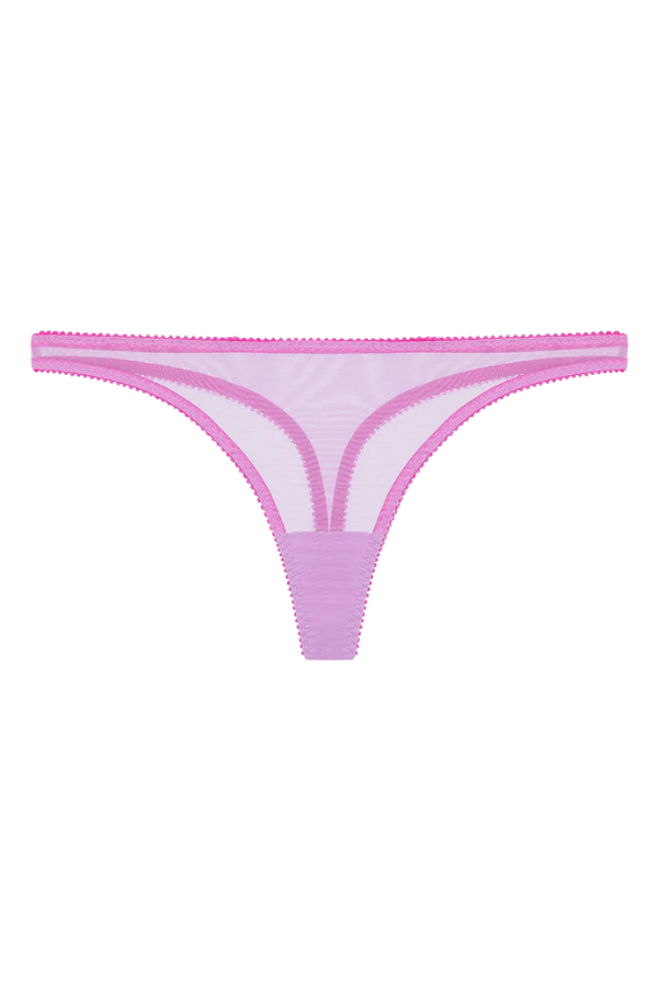 DORA LARSEN Arella embroidered recycled-tulle briefs