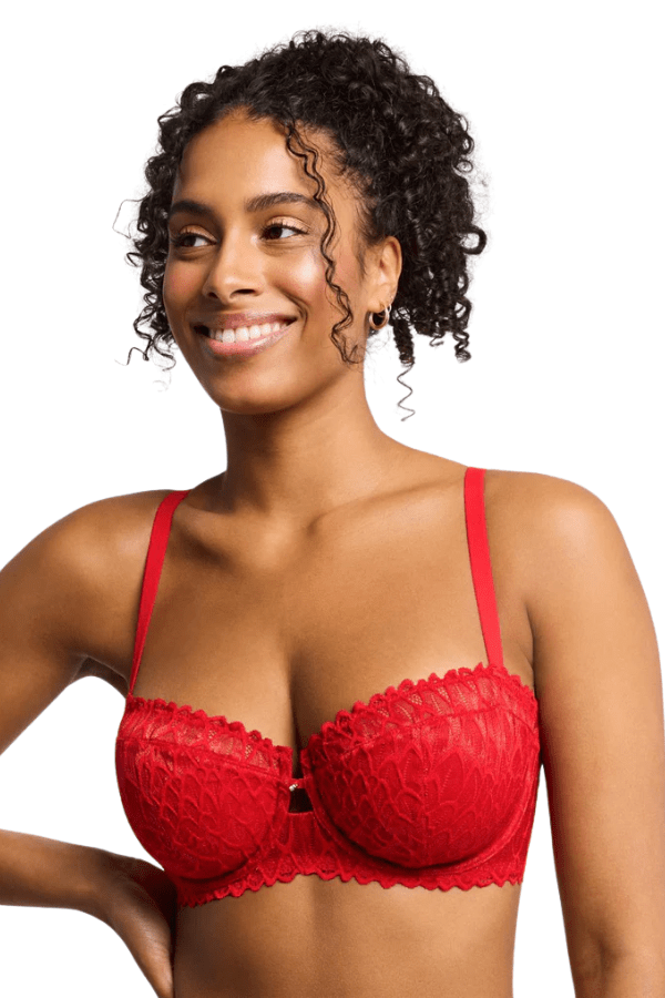 Buy LACY RED TRANSLUCENT BODYSUIT for Women Online in India