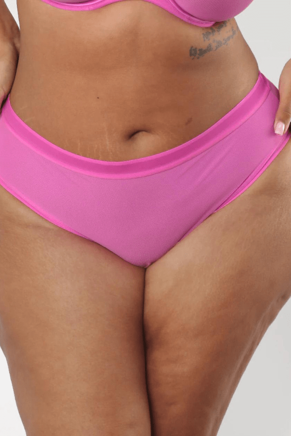 Sheer Mesh High Cut Brief - Cosmo Pink – Curvy Couture