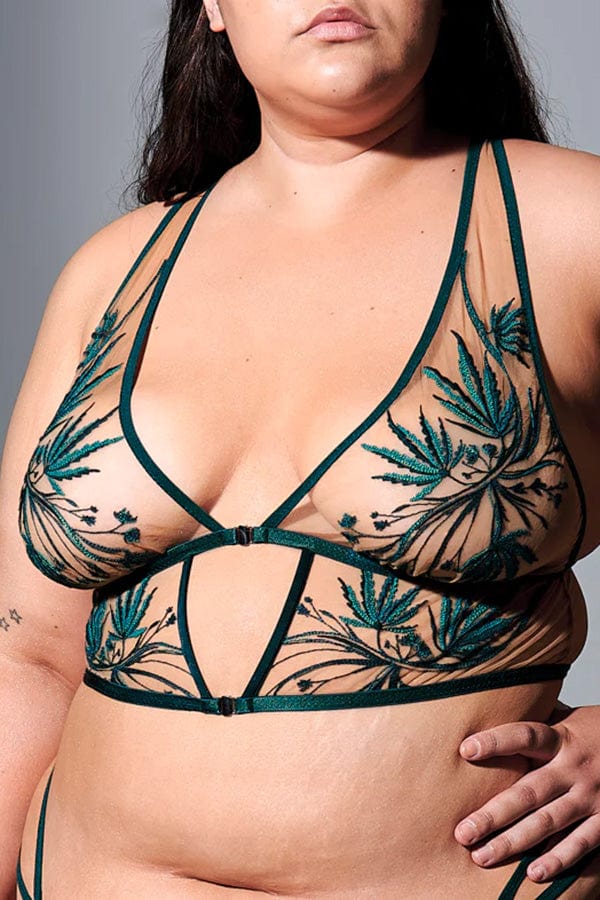 Buy THISTLE AND SPIRE Haze Bralette In Green - Emerald & Butterscotch At  29% Off