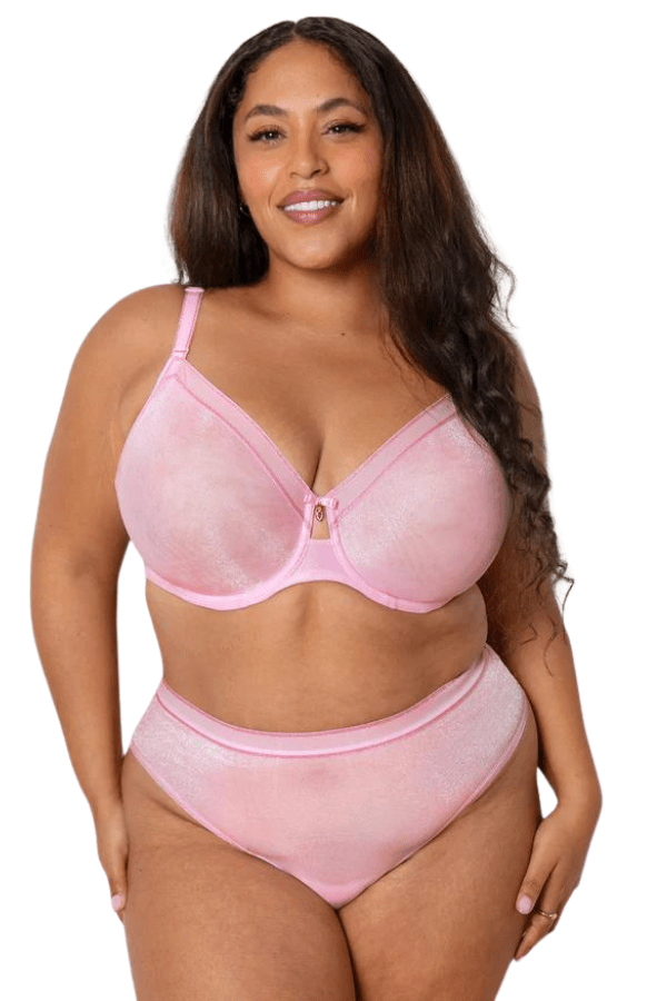 Curvy Couture Briefs Shimmer High Cut Brief - Pink