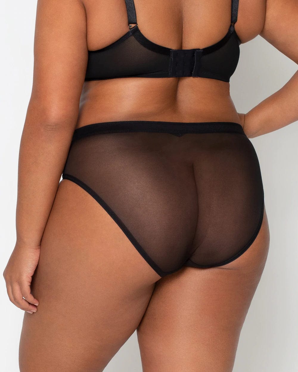 Sheer Mesh High-cut Panty Underwear Black Classic French Cut See Through  Panties See Through Lingerie -  Canada