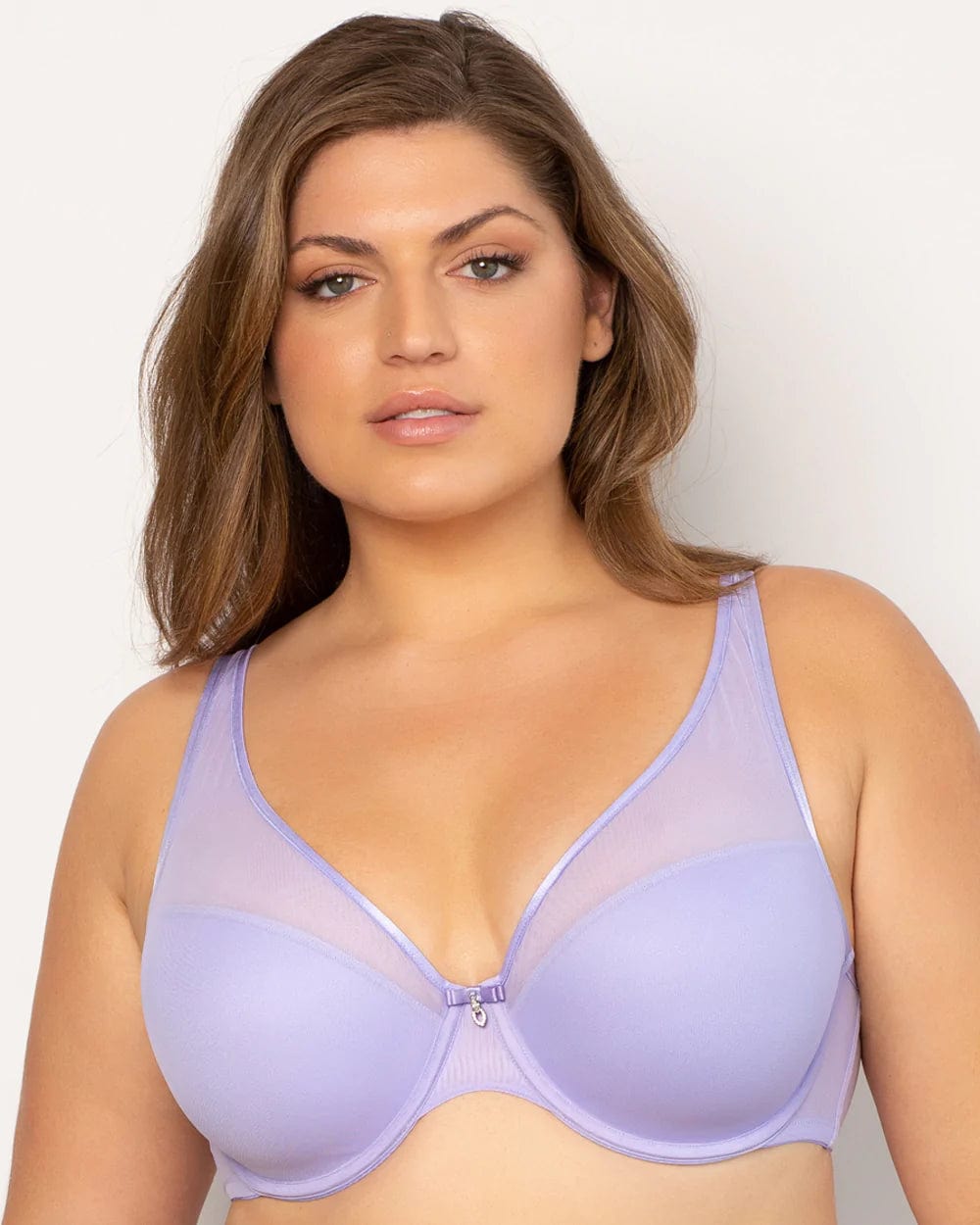 Curvy Couture Sheer Mesh Lavender High Cut Hipster Panty 1313 – The Bra  Genie