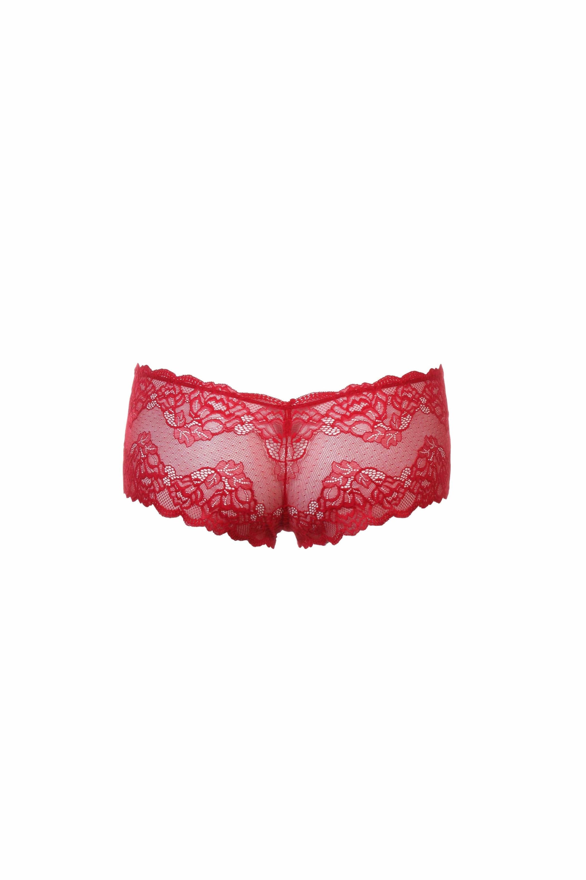 Romancing the Male Body with a Lace and See-through Underwear from JOR