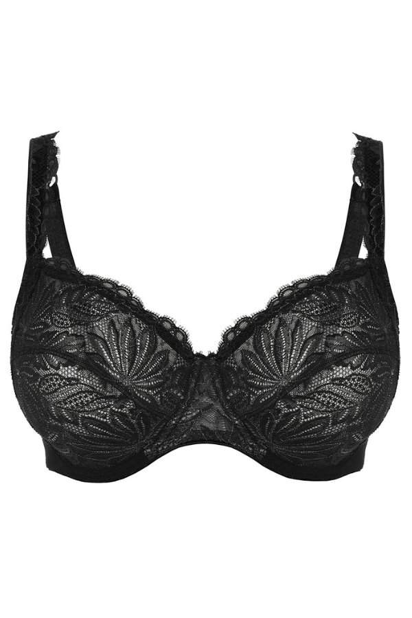 Quilted Lace Balcony Bra - Maroon – Lounge Underwear